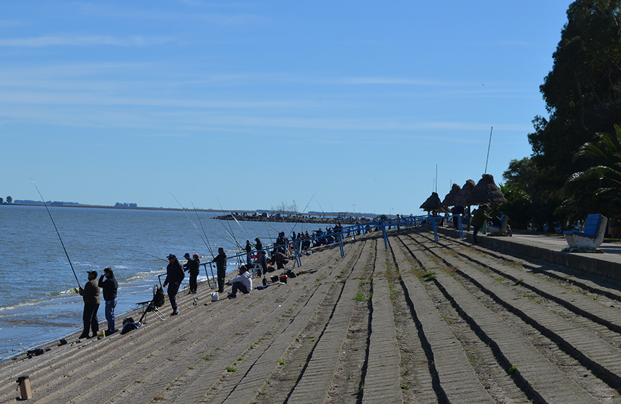 Torneo de pesca 2019