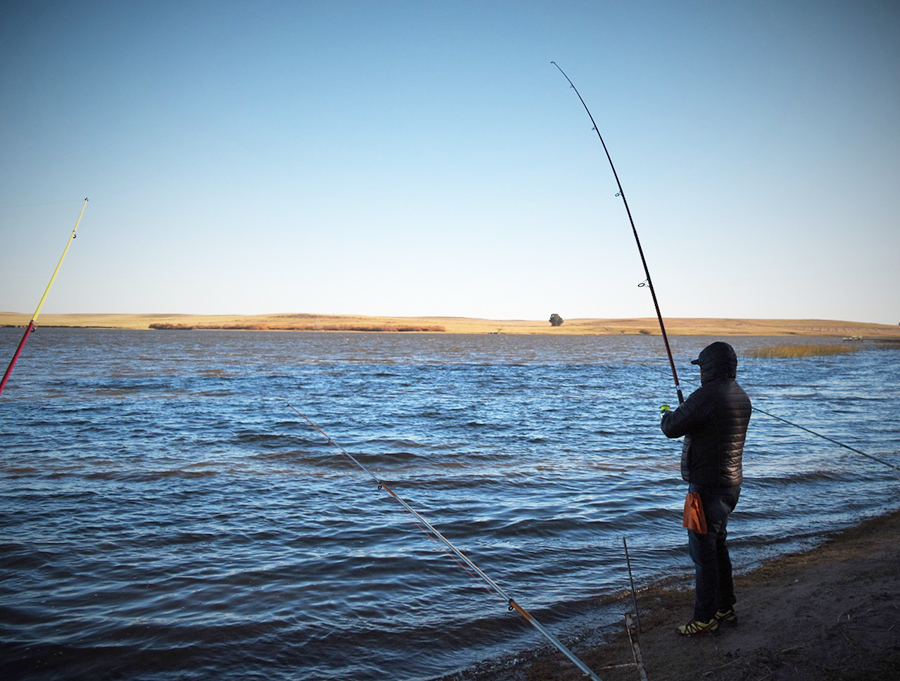 Torneo de pesca 2019